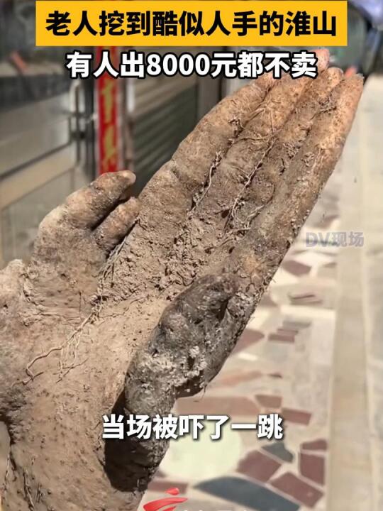 �F(xi��n)�������ڵ��������ֵĻ�ɽ���˳�Ԫ�����u���u